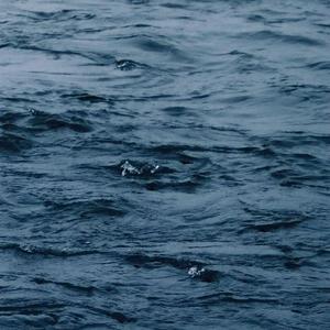 初中女生光溜溜
